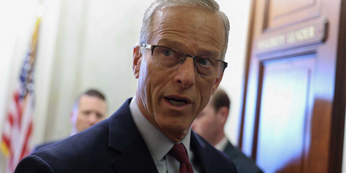 'I am actually stunned': Political scientist shocked at Senate GOP’s 'unprecedented' move | “I am actually stunned at Senate Republicans now. It is entirely unprecedented, and a reflection of the fact that the Republican Party is no longer a party but a full-blown cult”