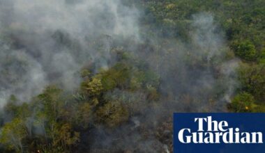 ‘Dismal’ health of world’s forests is threat to humanity, report warns. The carbon dioxide released by the burning Amazon last year was seven times higher than the average over the previous two years and more than the total greenhouse gas emissions of Germany.