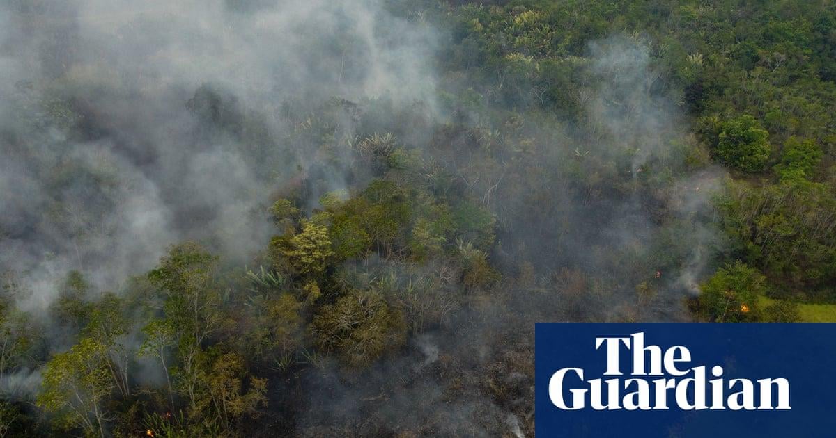 ‘Dismal’ health of world’s forests is threat to humanity, report warns. The carbon dioxide released by the burning Amazon last year was seven times higher than the average over the previous two years and more than the total greenhouse gas emissions of Germany.