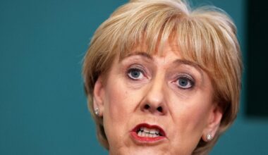 Ex-minister and left winger vie for Irish presidency after football coach withdraws