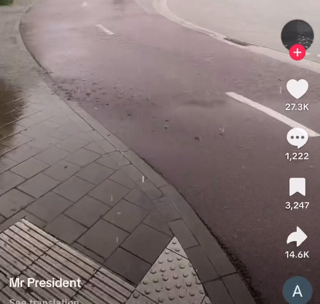 When the BE/NL weather makes you wanna move back to Somalia…