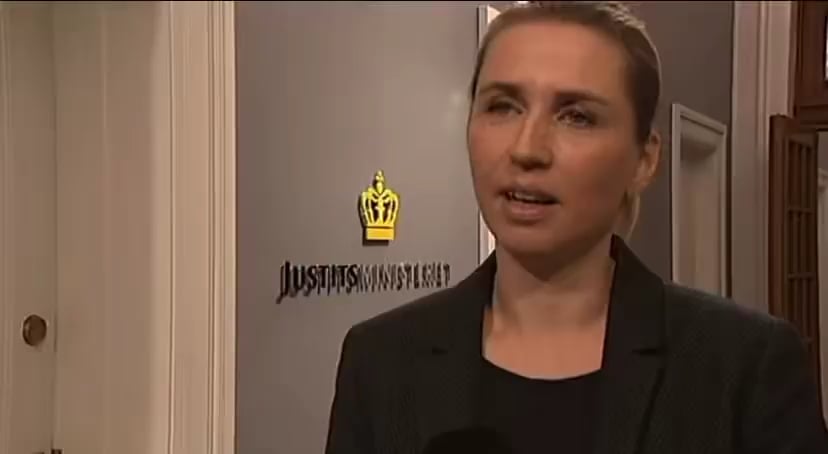 Mette Frederiksen i 2014. Det var dengang.