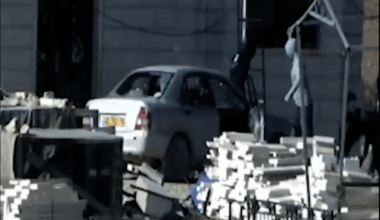 Settlers broke into Palestinian home, killed and maimed sheep, owner says