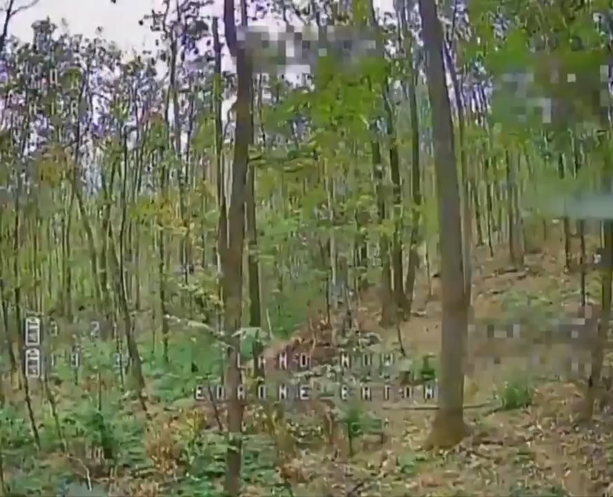 Ukrainian kamikaze drone strikes sleeping russian soldier