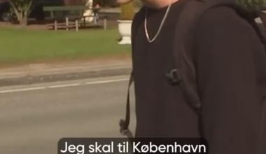 Arketypisk jydeknægt