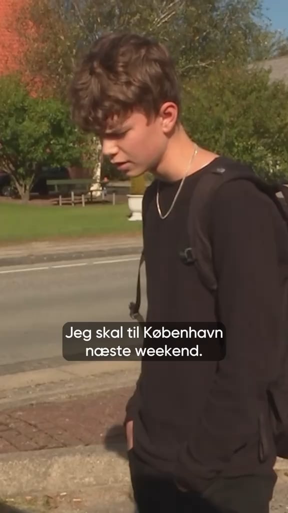 Arketypisk jydeknægt