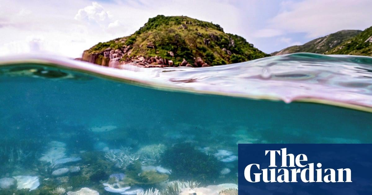 Planet’s first catastrophic climate tipping point reached, report says, with coral reefs facing ‘widespread dieback’ | Climate crisis