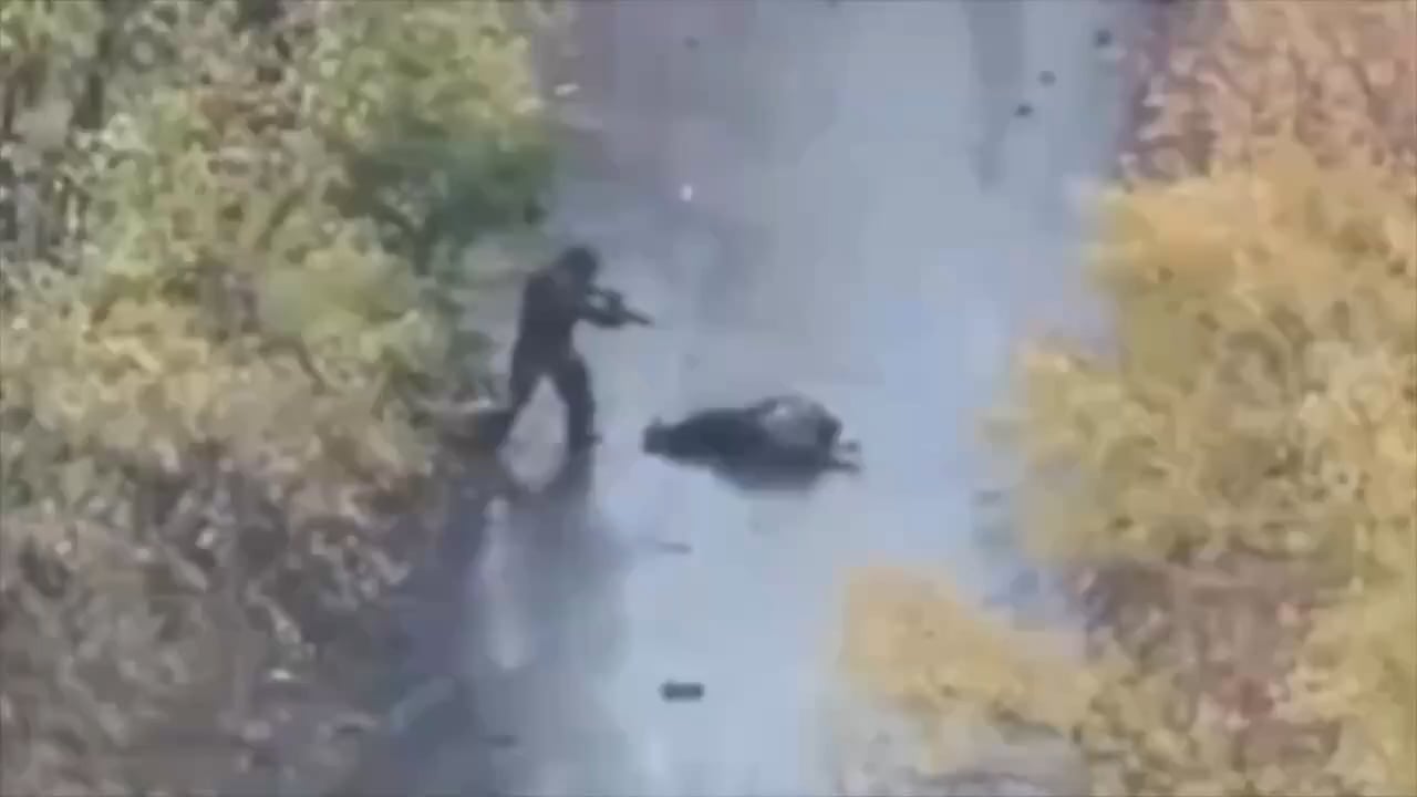 Ukrainian soldier ambushes Russian invader at a point-blank distance in the Myrnograd area of Donetsk region