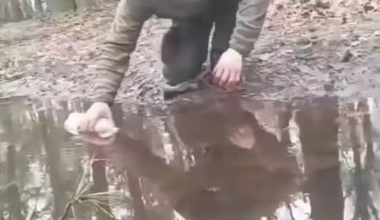 Amid logistics failures on the frontline, Russian troops resort to drinking from puddles