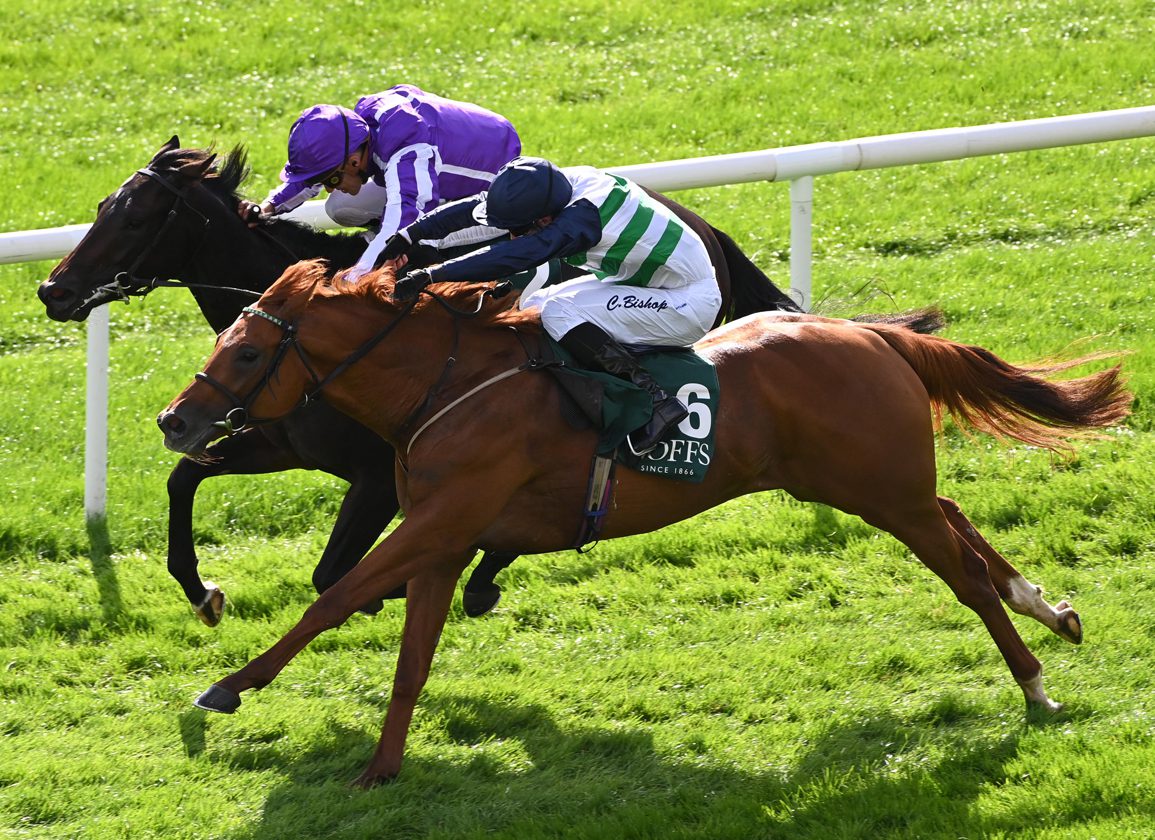 Phoenix Top Three Clashes Again In Dewhurst