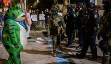 People Are Calling Out Exactly Why The Inflatable Frog Protesters In Portland Are So Effective