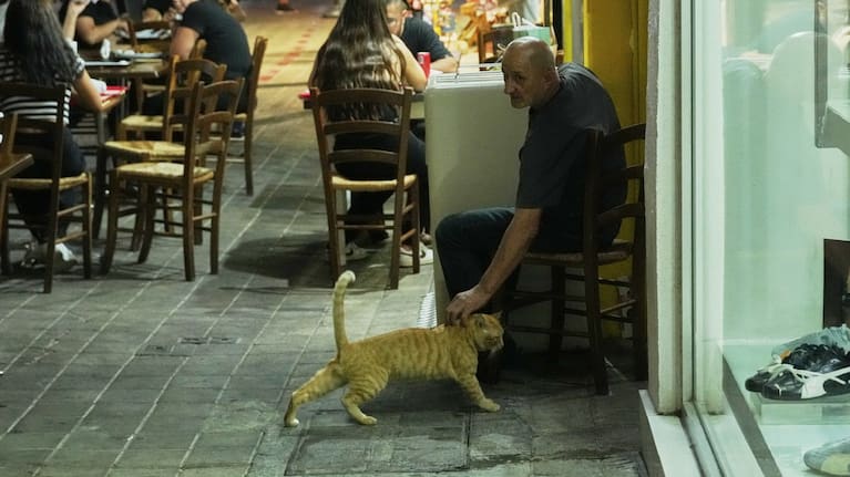 A man caresses a cat outside a restaurant in Cyprus' capital, Nicosia.