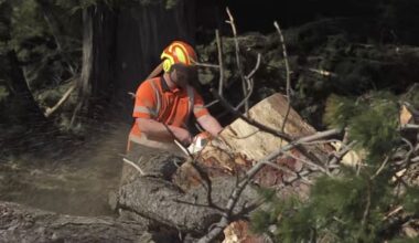 Southland, Clutha still under states of emergency