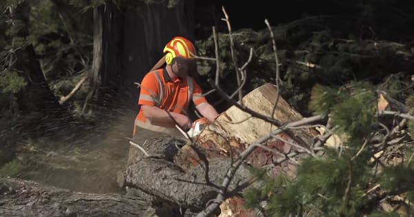 Southland, Clutha still under states of emergency