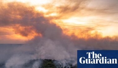 CO2 from wildfires increases by 9% as climate crisis supercharges infernos | Greenhouse gases from wildfires at sixth highest level on record after blazes in large areas of the Americas and Africa