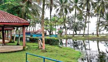 New Age | Cameroon hotels long for tourists spooked by conflict