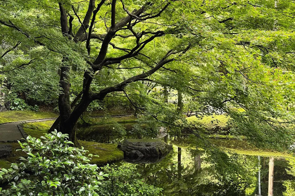 Liz Provencher/Travel + Leisure The lush scenery of Mount Tennozan.