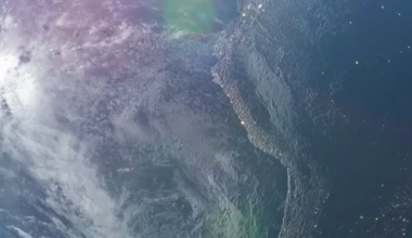 Earthshot Prize 2025 announces star-studded line up of performers including Kylie Minogue and Shawn Mendes