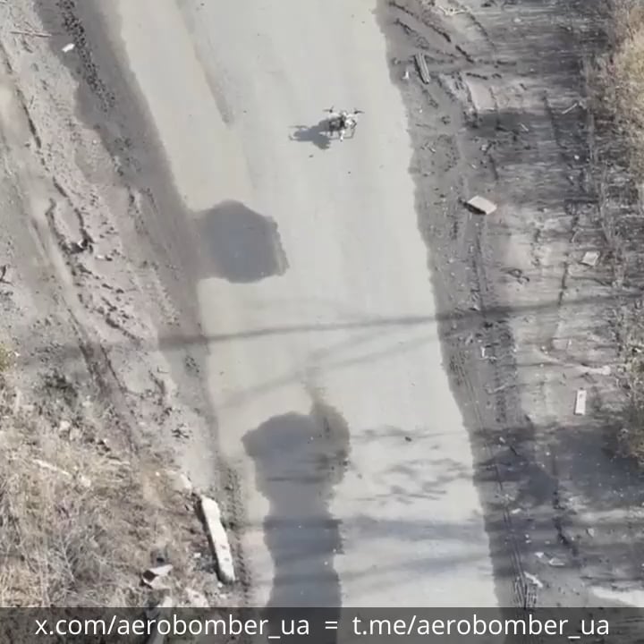Ukrainian drone drops destroys Russian FPV ambush drones waiting for targets on the road. October 2025