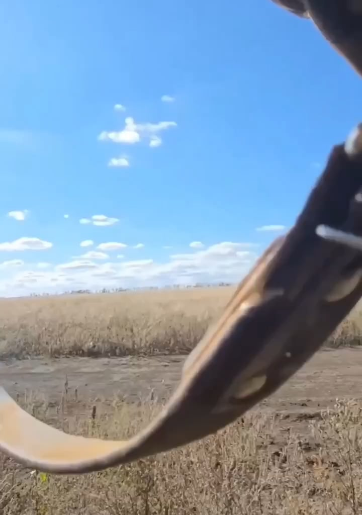 Russian soldiers attempt to shoot down Ukrainian FPV, but fail