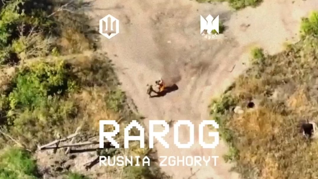 NSFW. 23 russians are killed by drones of the Rarog Group. October 2025.
