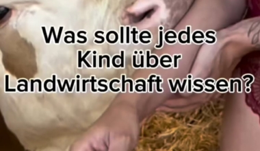 Average Austrian farm