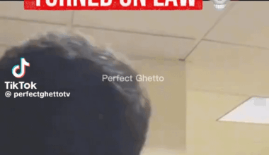 ICE harassed an off-duty NYPD cop in NYC, called him “suspicious.” He showed his badge. They still didn’t back off. Now both agencies under fire. When even the cops can’t survive a “routine stop,” maybe the real public safety hazard is wearing tactical vests and bad judgment.