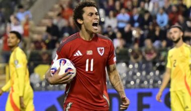 Brennan Johnson shouts in celebration while holding the ball after equalising against Belgium in Brussels in June 2025