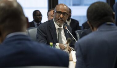 Growth in sub-Saharan Africa has shown resilience – IMF