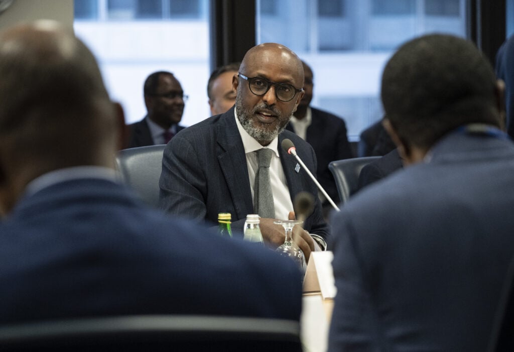 Growth in sub-Saharan Africa has shown resilience – IMF