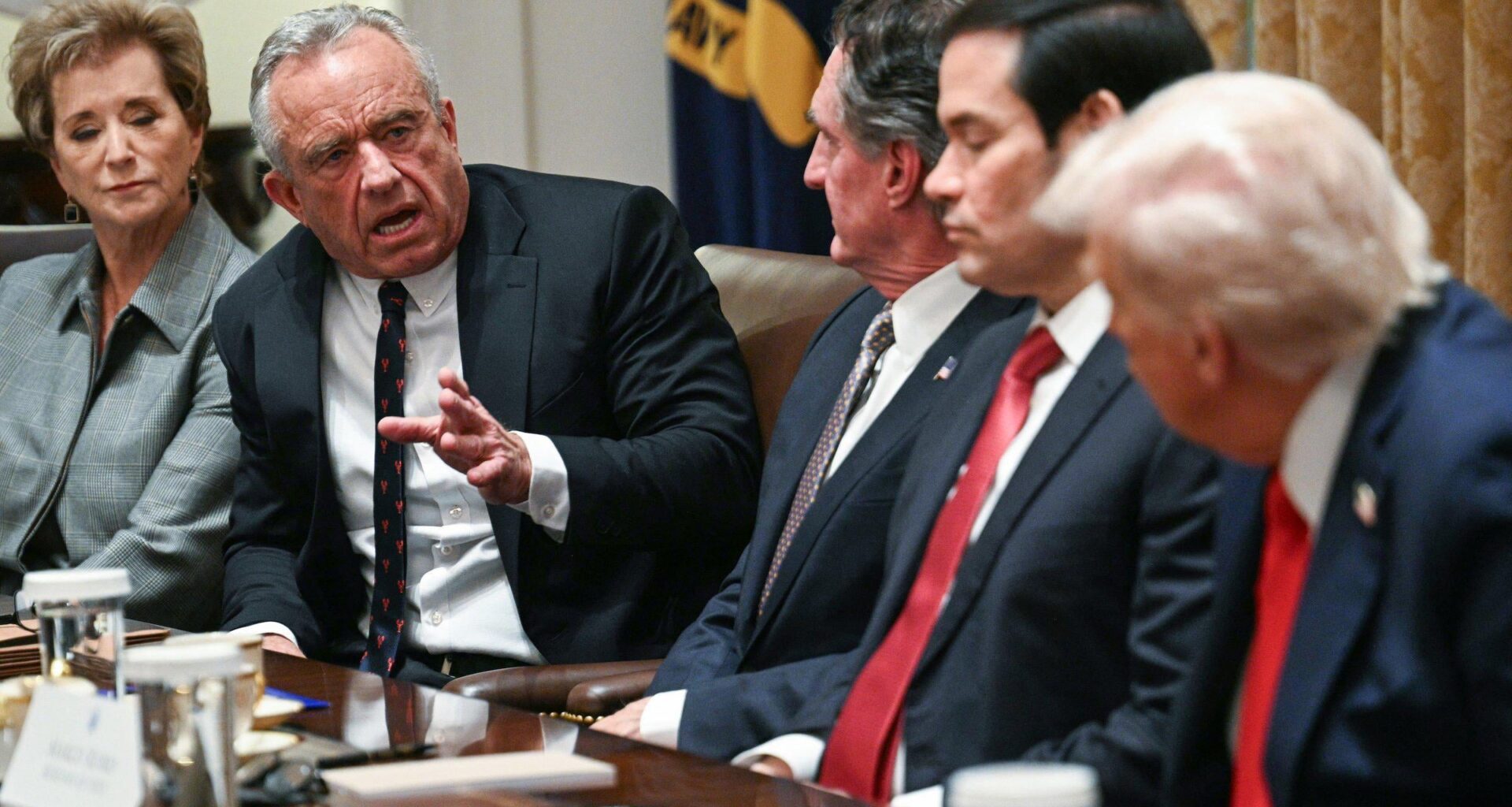 RFK Jr. Says Trump Admin Will “Make the Proof” on Bogus Tylenol Claims