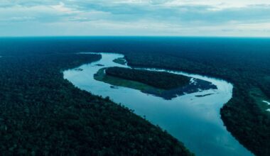 Report Reveals $2 Billion of New Financing by Big Banks for Oil and Gas in the Amazon