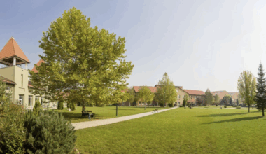 Unique in Romania: AISB pioneers a bold new model of education with the Global Impact Diploma
