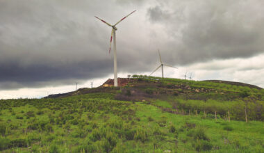 Parcuri eoliene în România, preluate de la ″regele″ Muntmark. Italienii Alerion au undă verde