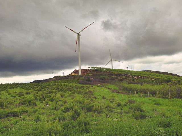 Parcuri eoliene în România, preluate de la ″regele″ Muntmark. Italienii Alerion au undă verde