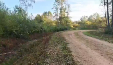 La dernière chose que voit un mioche en sortie d'école de campagne :