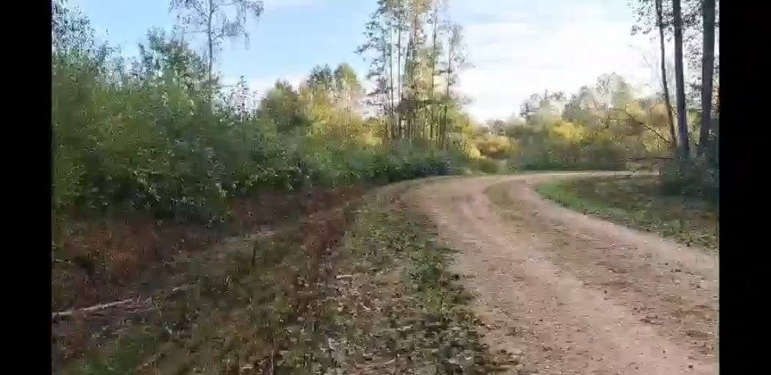 La dernière chose que voit un mioche en sortie d'école de campagne :