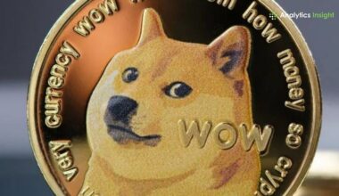 Why You Should Invest $500 into Dogecoin Now