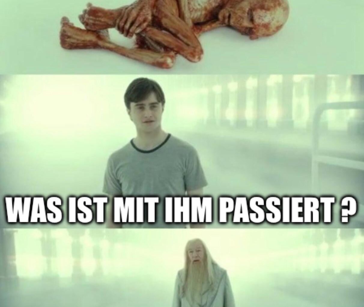 Ich🛒iel