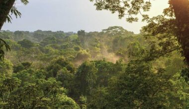 The Critical Value of Indigenous Climate Stewardship