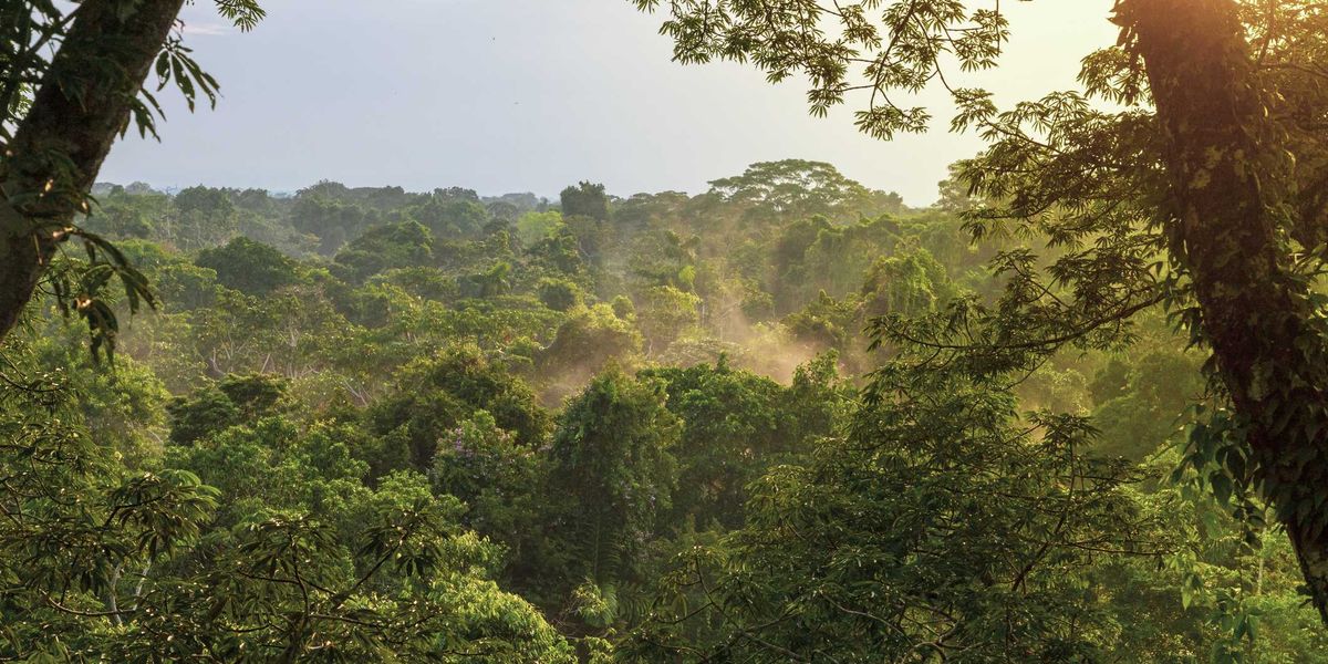 The Critical Value of Indigenous Climate Stewardship