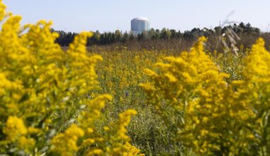 Nuclear energy gains bipartisan steam in Wisconsin heading into 2026 election season