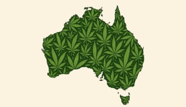 Australian Cannabis Production, Imports And Exports In 2024
