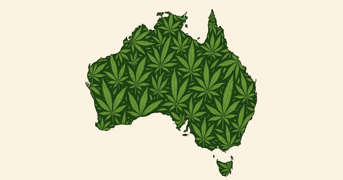 Australian Cannabis Production, Imports And Exports In 2024
