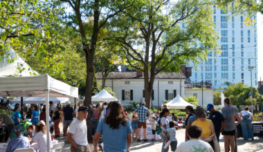 Ann Arbor for Public Power hosts climate week block party