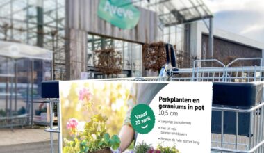 Le retail media en Belgique : comment Aveve et BUFFL traduisent les points de vue des consommateurs en action