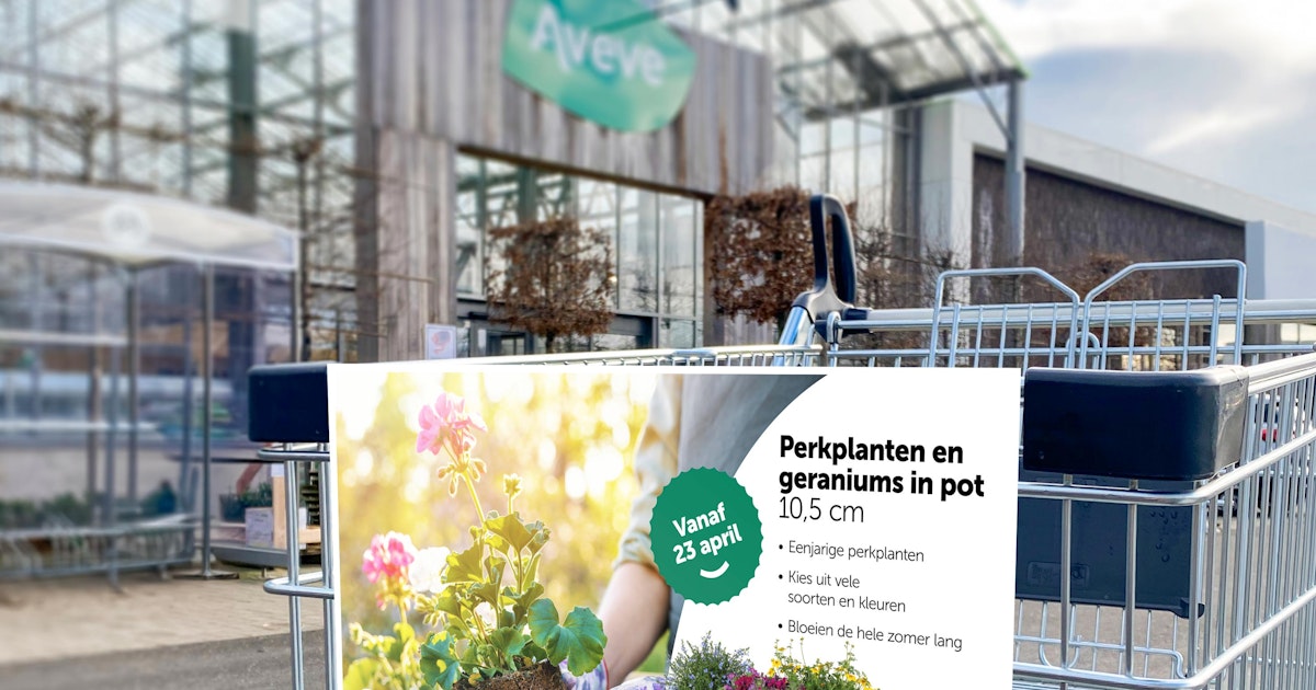 Le retail media en Belgique : comment Aveve et BUFFL traduisent les points de vue des consommateurs en action