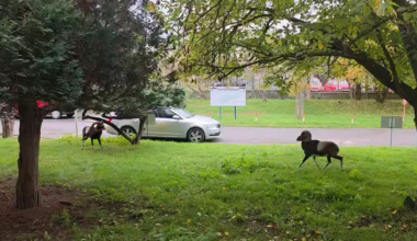 V Pražské Krčské nemocnici