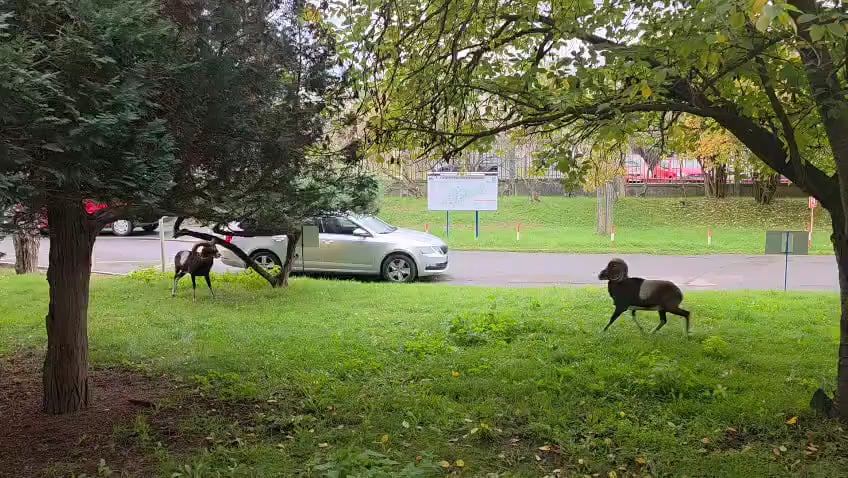 V Pražské Krčské nemocnici