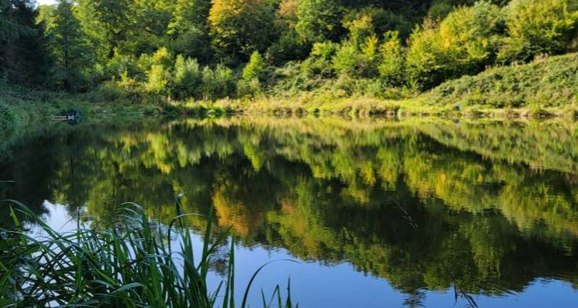 La météo en Belgique : un week-end sous la grisaille, la douceur persiste